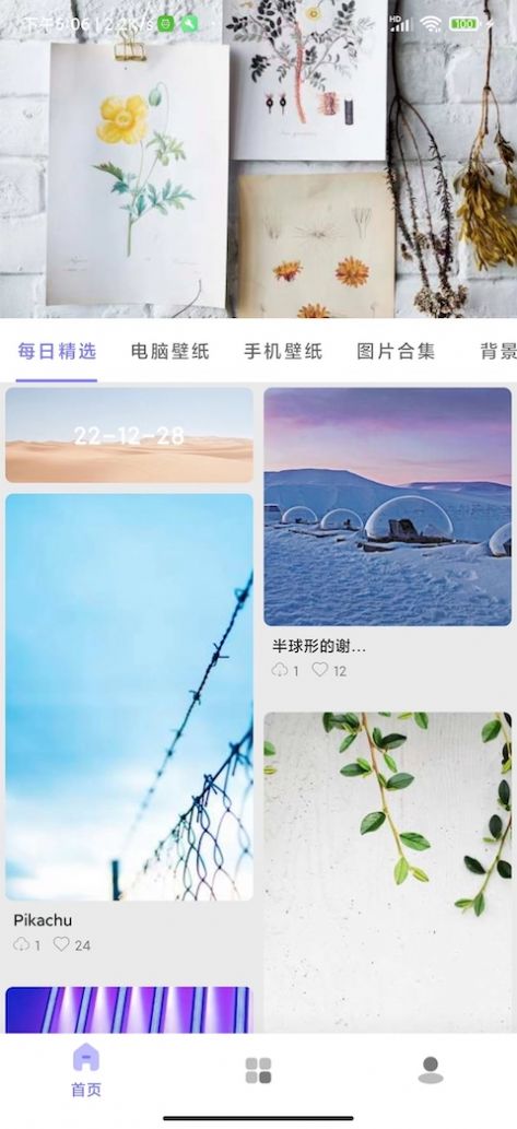 派派壁纸最新版app图片1