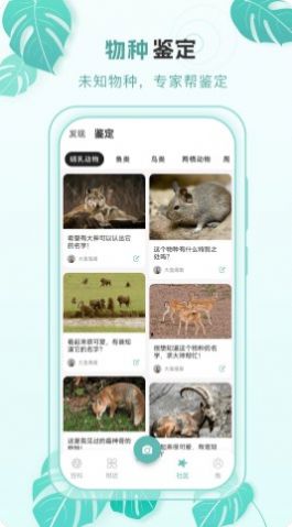 百科物语app手机版图片1