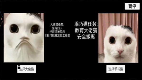 猫猫惊魂夜最新版图片2